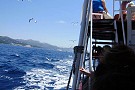 2012-07-10_Lopud (26).jpg>